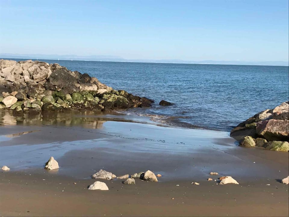 Summer, Beach