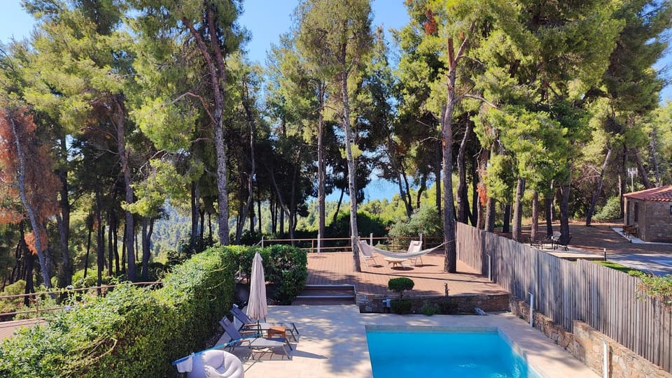 Spring, Day, Natural landscape, Garden, Garden view, Pool view, Swimming pool, sunbed