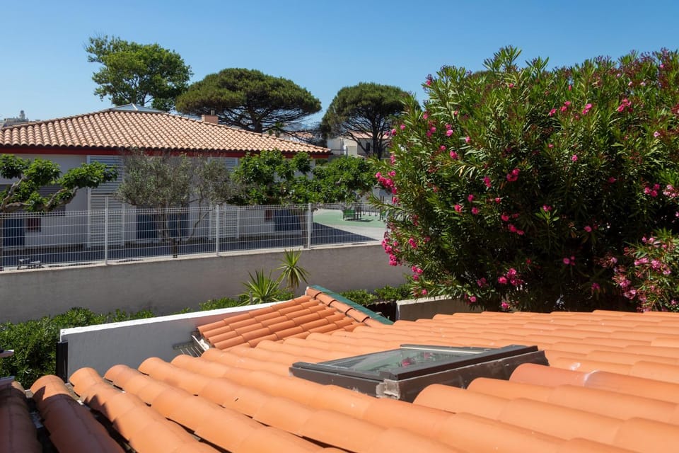 Property building, Day, Garden, Garden view