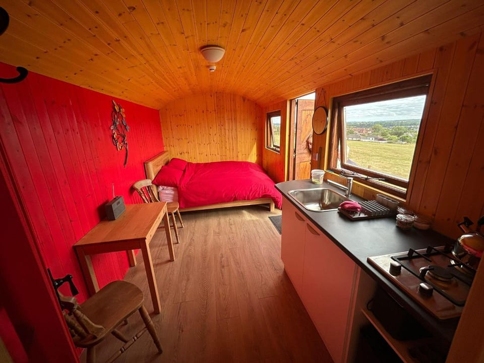 Kitchen or kitchenette, Photo of the whole room, Dining area, Bedroom