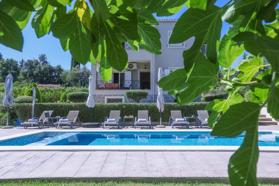 Summer, Garden view, Pool view, Swimming pool, sunbed