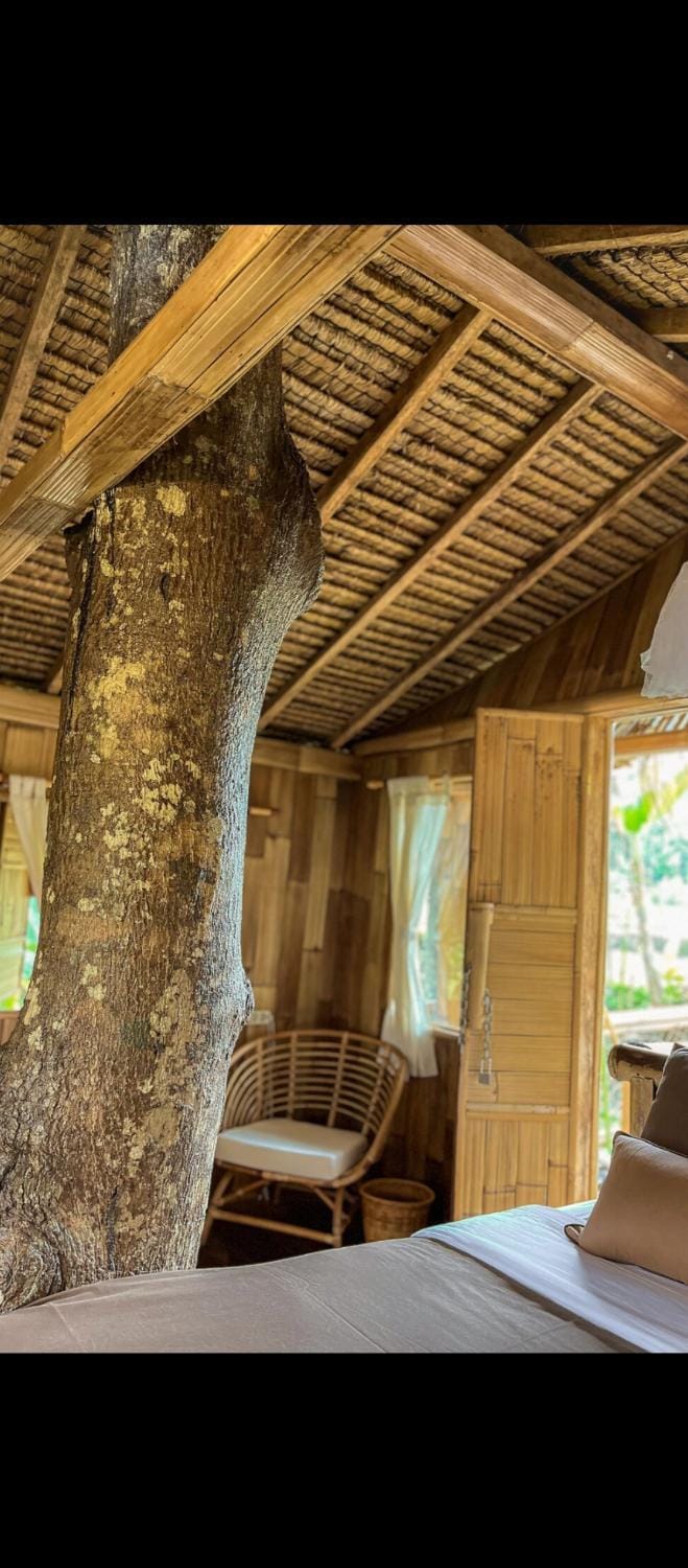 Tree bamboo house Farm Stay in Tampaksiring