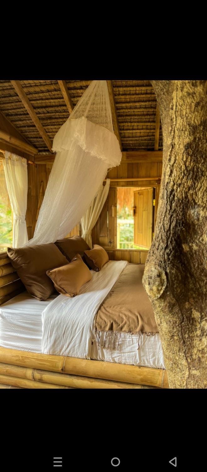 Tree bamboo house Farm Stay in Tampaksiring