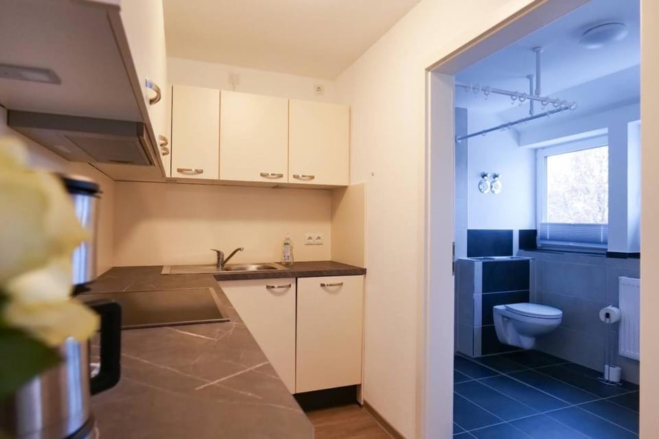 Wunderschöne große Ferienwohnung in Aue Apartment in Erzgebirgskreis