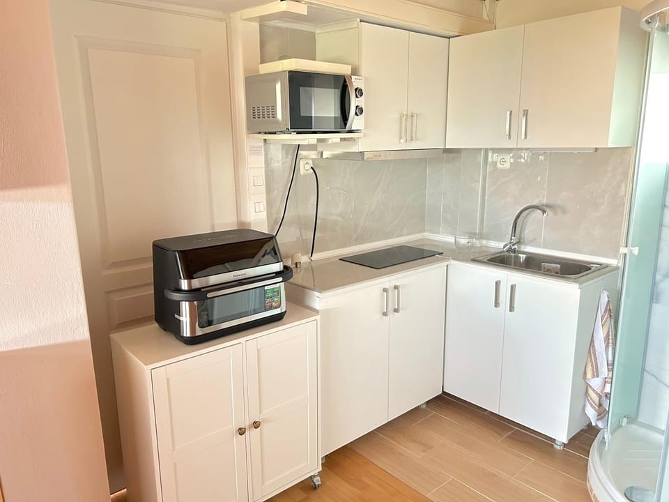Kitchen or kitchenette, oven, stove