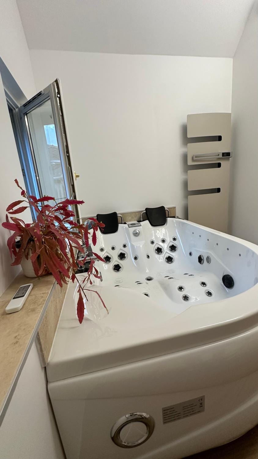 Parenthèse sous les toits - suite cosy avec jacuzzi - hypercentre Apartment in Bourgogne-Franche-Comté