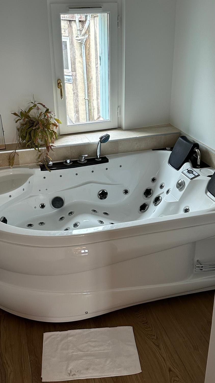 Parenthèse sous les toits - suite cosy avec jacuzzi - hypercentre Apartment in Bourgogne-Franche-Comté