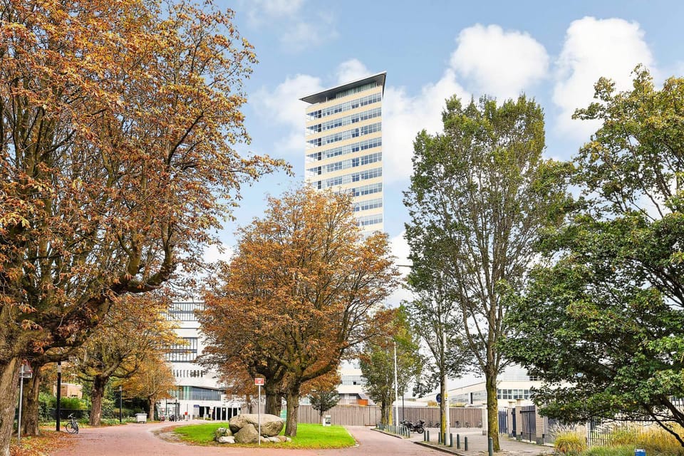 Property building, Day, Location