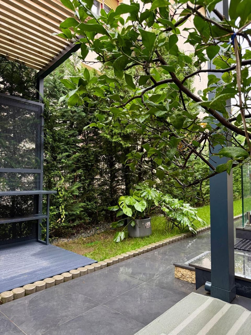 Apartament langa Cluj Arena cu 2 camere, bucatarie, baie si camara Apartment in Cluj-Napoca