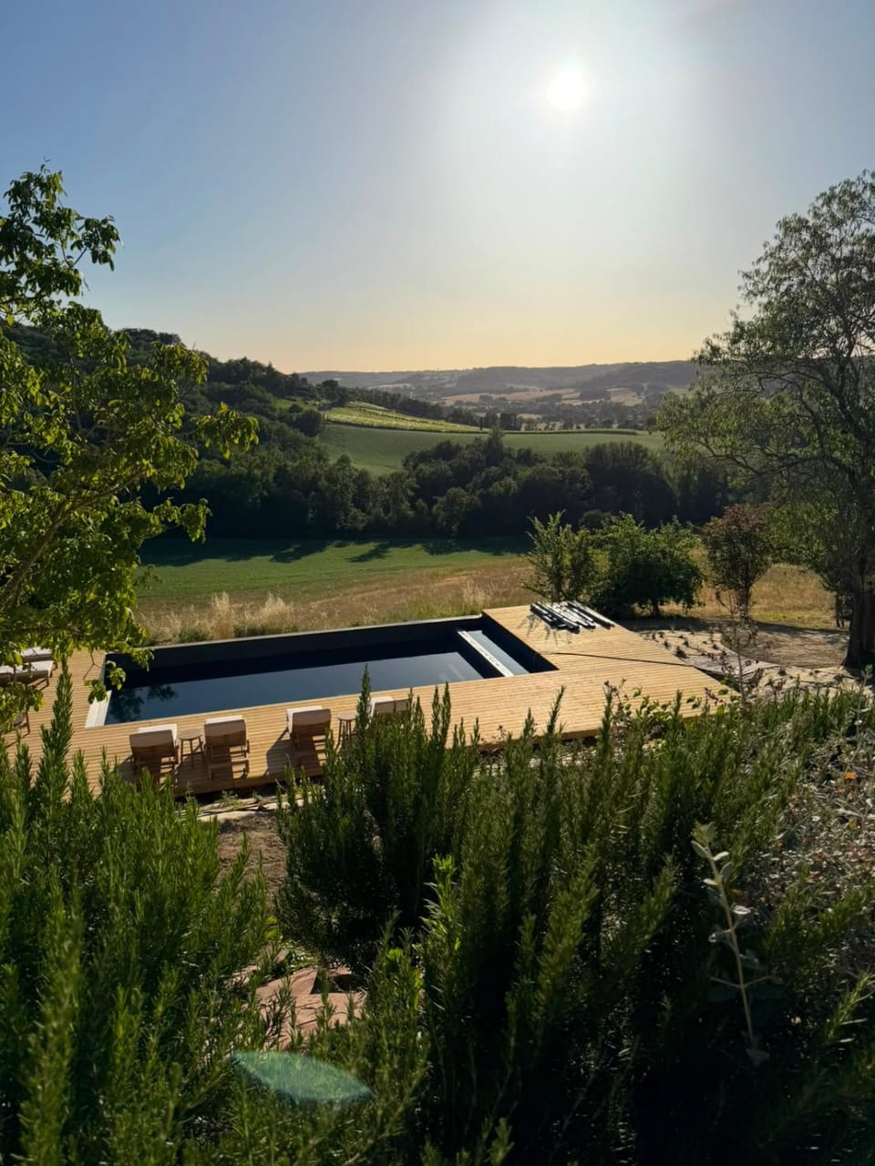 Natural landscape, Garden, Garden view, Pool view, Swimming pool, Swimming pool, Swimming pool