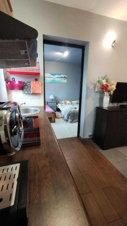 TV and multimedia, Kitchen or kitchenette, minibar, pet friendly, stove