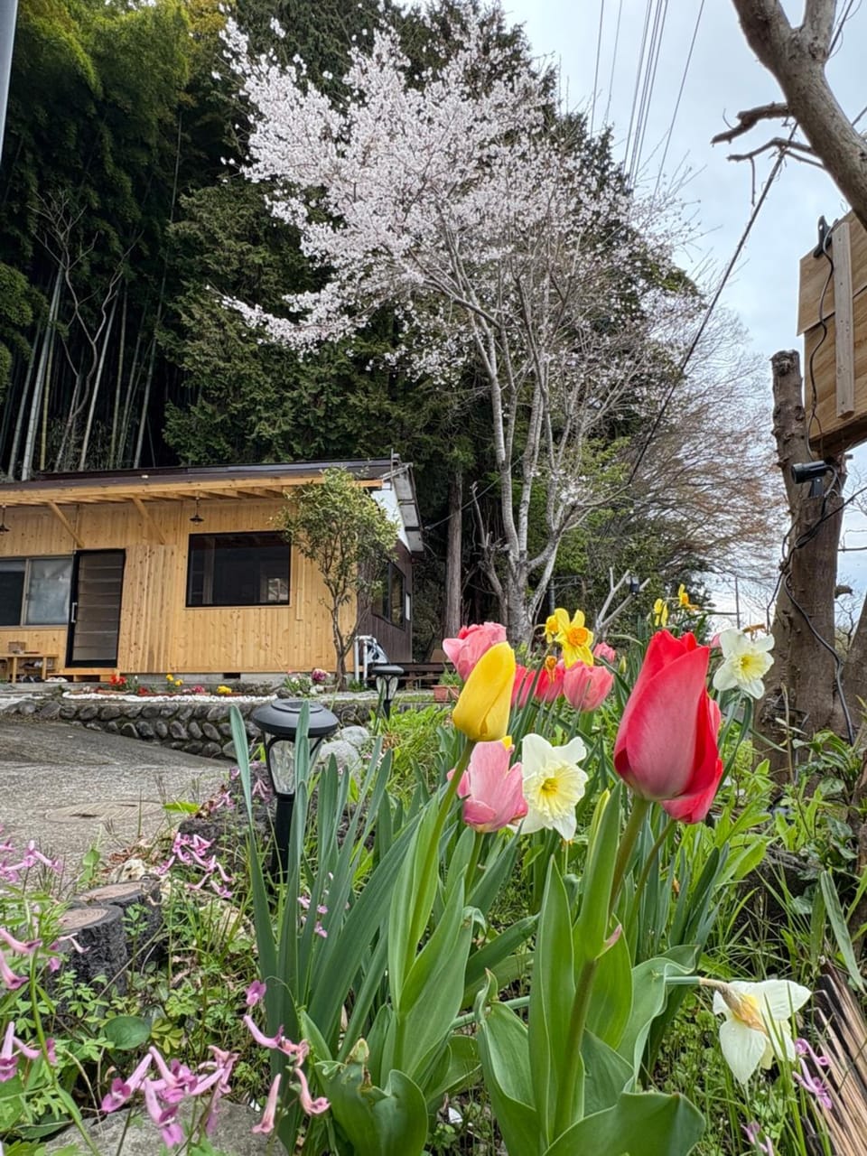 Torinami Fuji View House Vacation rental in Shizuoka Prefecture