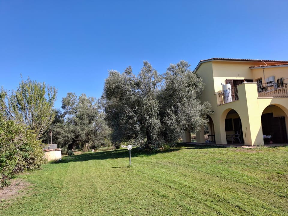 Property building, Natural landscape, Garden, Garden view