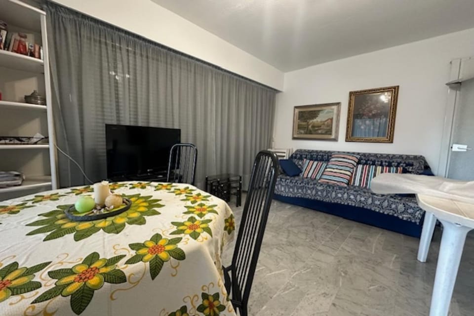 Charming corner 2 rooms of 51 m2 in Antibes Apartment in Antibes