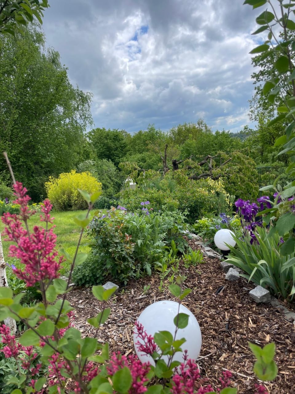 Natural landscape, Garden, Garden view