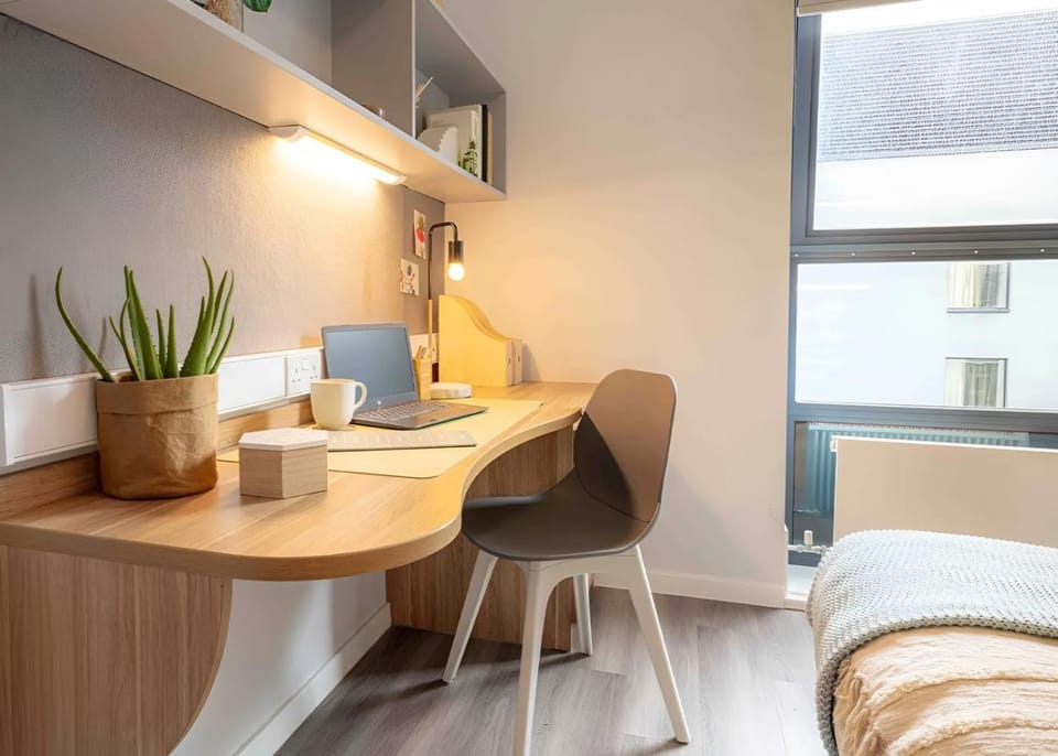 Bed, Photo of the whole room, Seating area, Bedroom