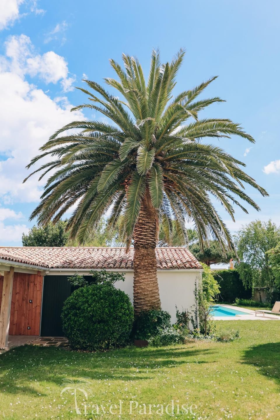 Patio, Garden, Garden view