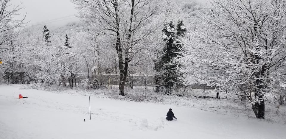Natural landscape, Winter, View (from property/room)