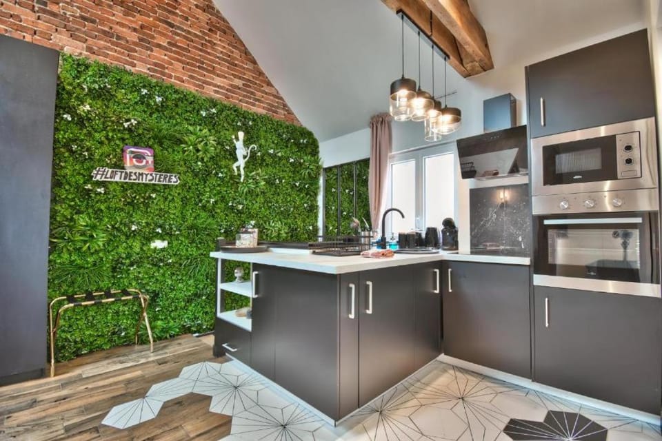 Le Loft des Mystères Apartment in Centre-Val de Loire