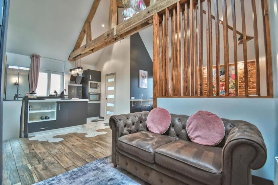 Le Loft des Mystères Apartment in Centre-Val de Loire