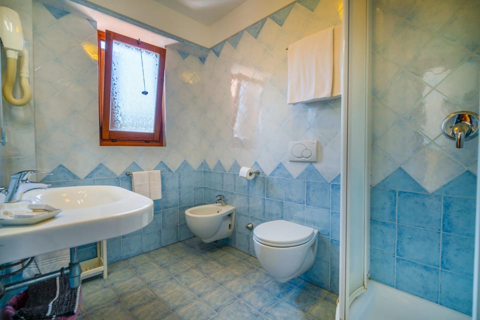 Shower, Toilet, Bathroom, bidet