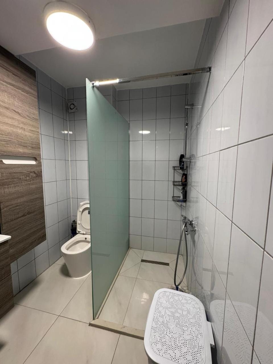 Shower, Toilet, towels