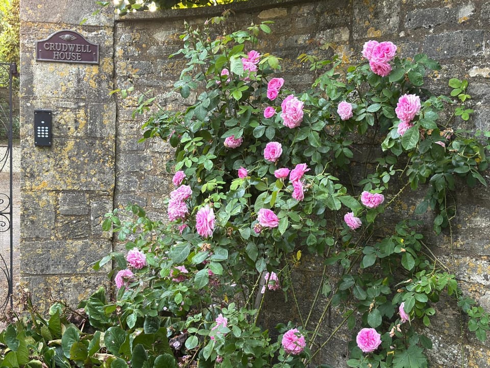 Facade/entrance, Spring