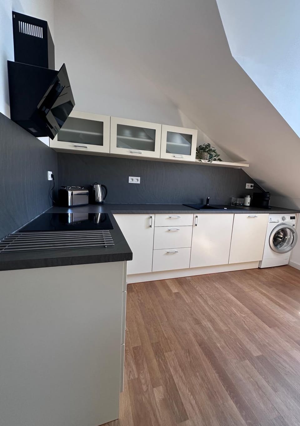 Kitchen or kitchenette, dishwasher, stove, toaster