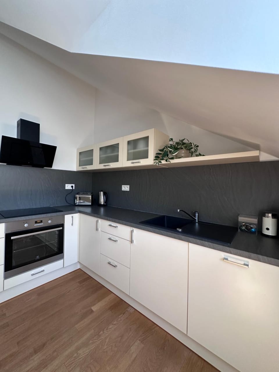 Kitchen or kitchenette, dishwasher, stove