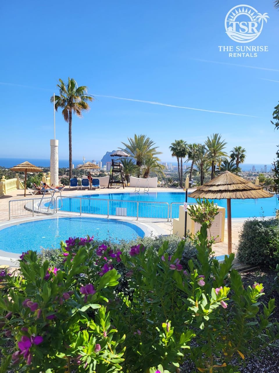 Garden, Pool view, Swimming pool, sunbed