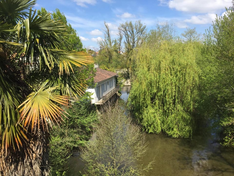 River view
