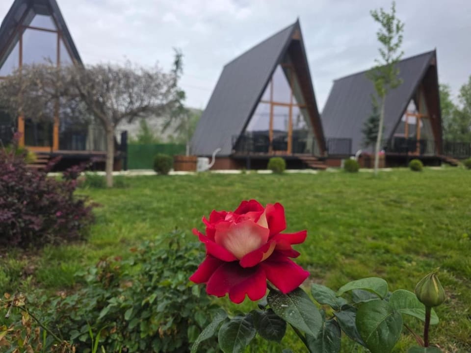 Bujtinat te Mullari Chalet in Montenegro