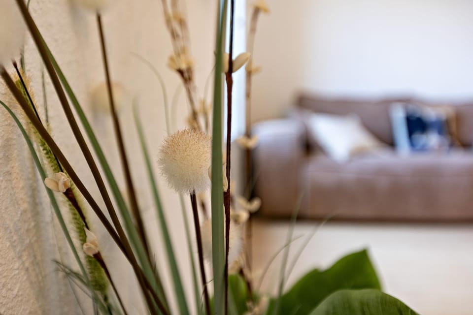 Spacious Renovated Apt in Pezenas Center Apartment in Pézenas
