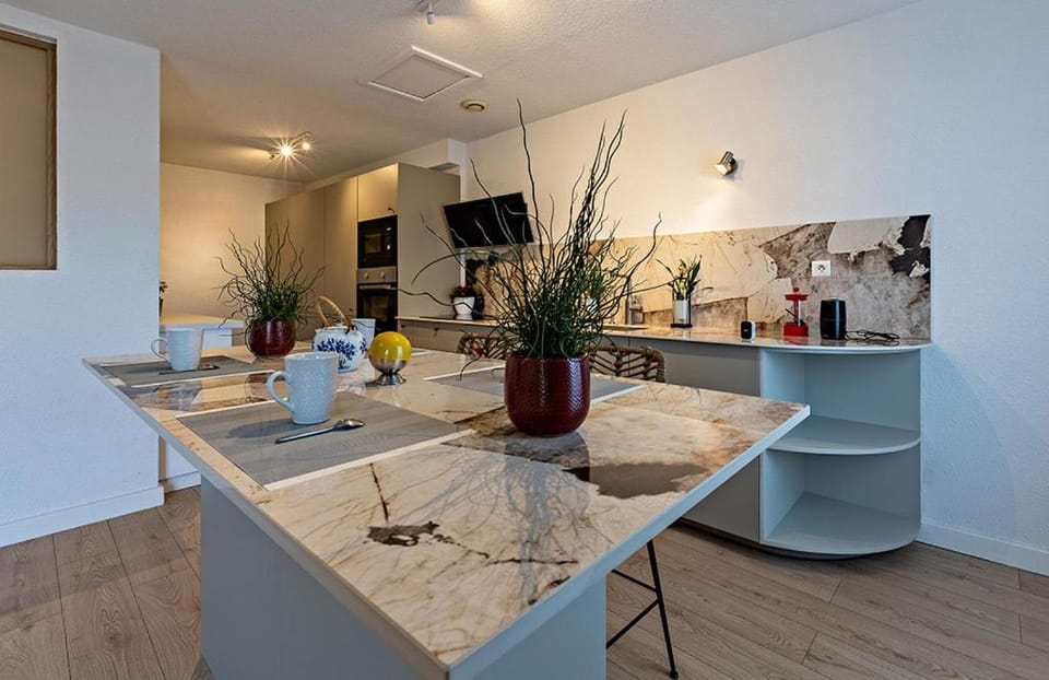 Spacious Renovated Apt in Pezenas Center Apartment in Pézenas