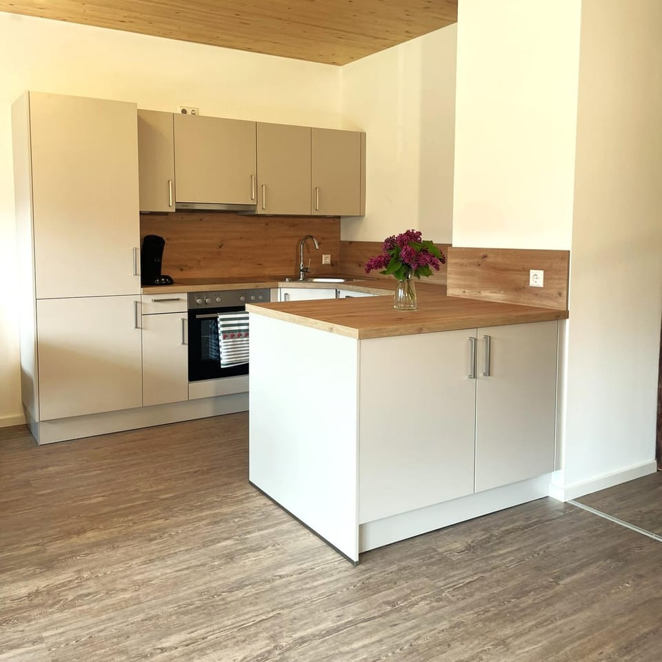 Kitchen or kitchenette, dishwasher, stove