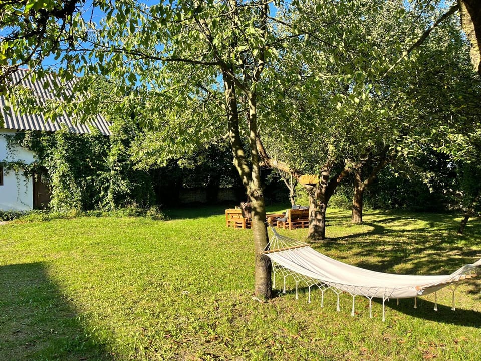 Spring, Natural landscape, Garden, Garden view