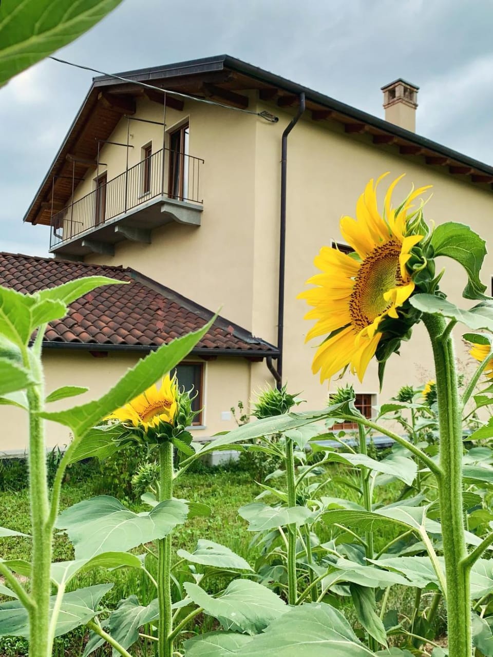 Cascina Nuova Bed and Breakfast in Piedmont