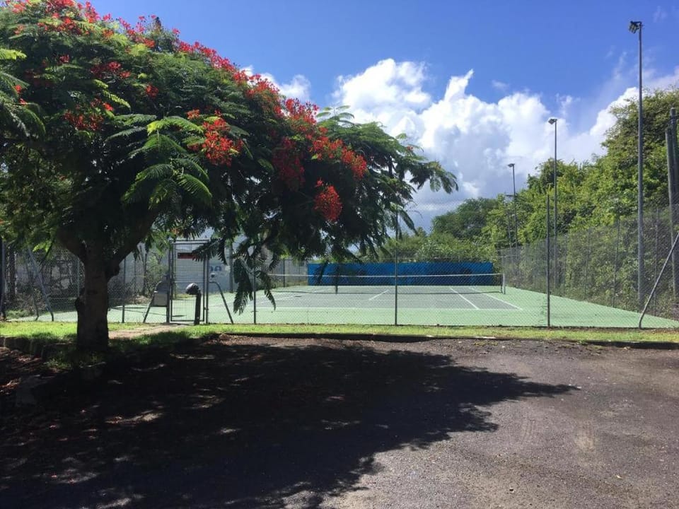 Tennis court