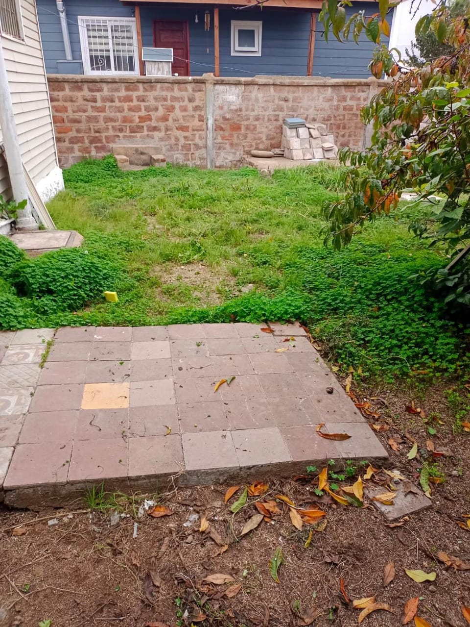 Garden, Inner courtyard view