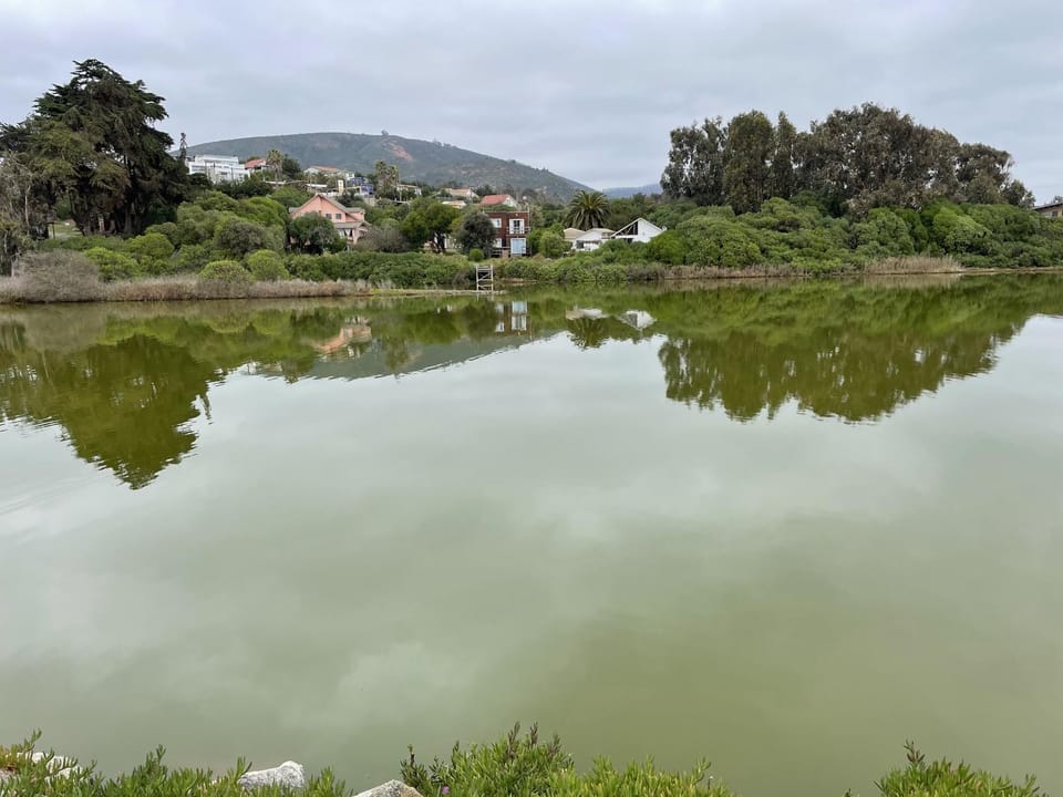 Natural landscape, Lake view