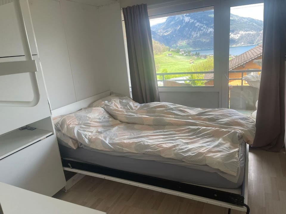 Dearm Vacation home easy to arrive Apartment in Canton of Bern (Region)
