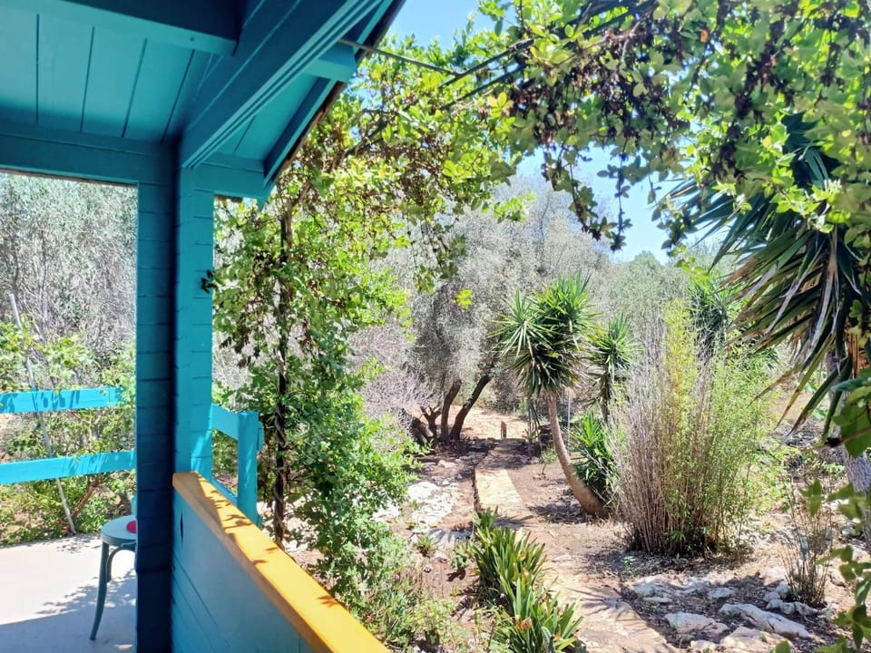 Natural landscape, Garden view