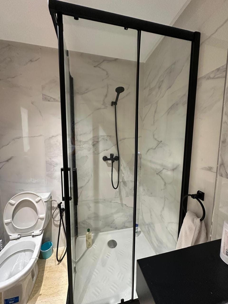 Shower, Toilet