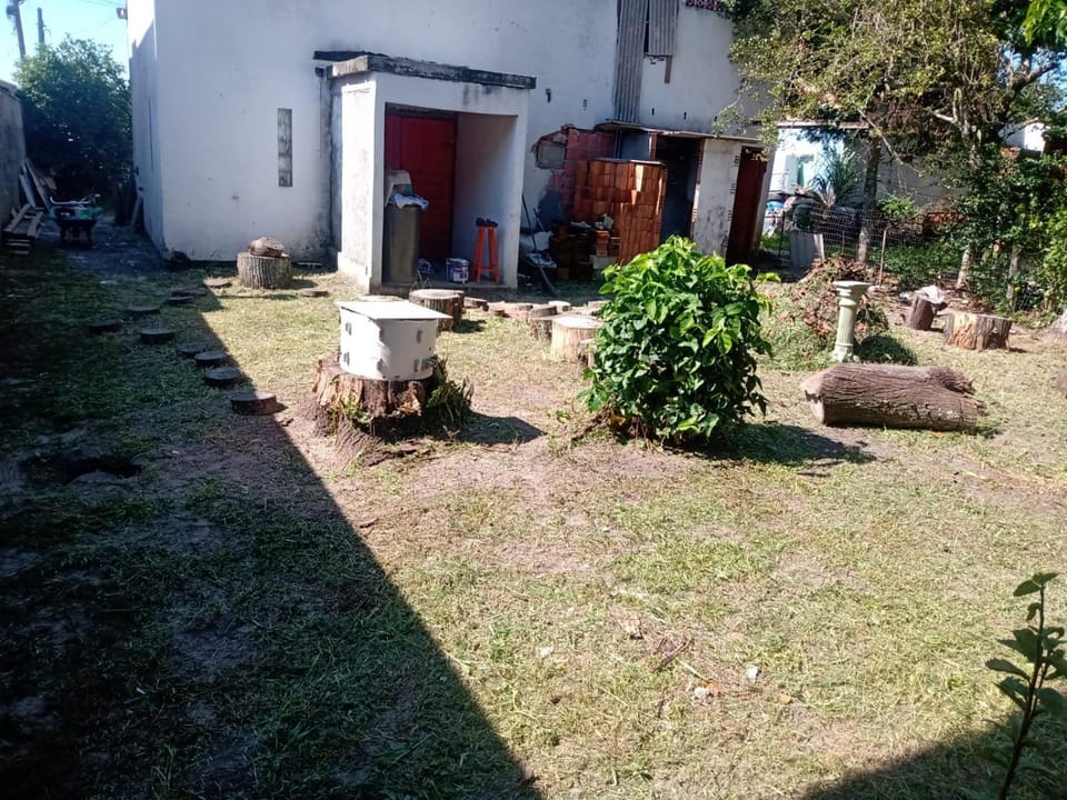 House free stile House in Florianopolis
