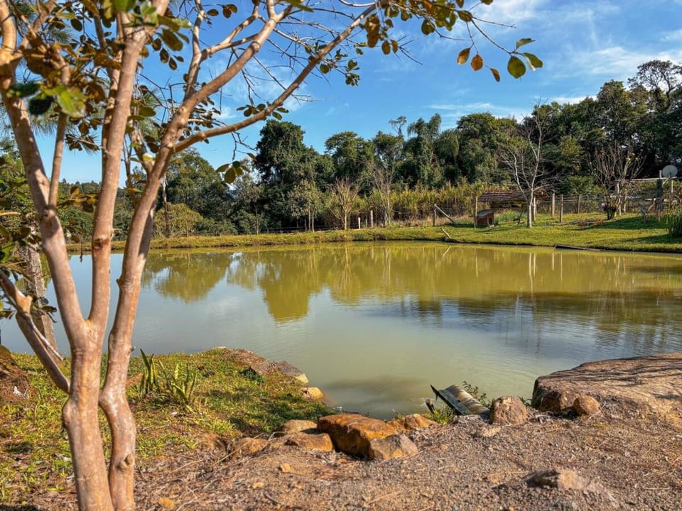 Natural landscape