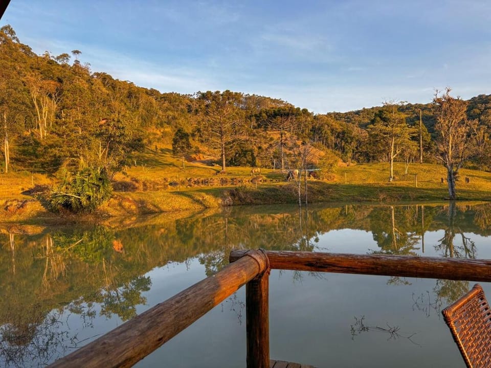 Lake view