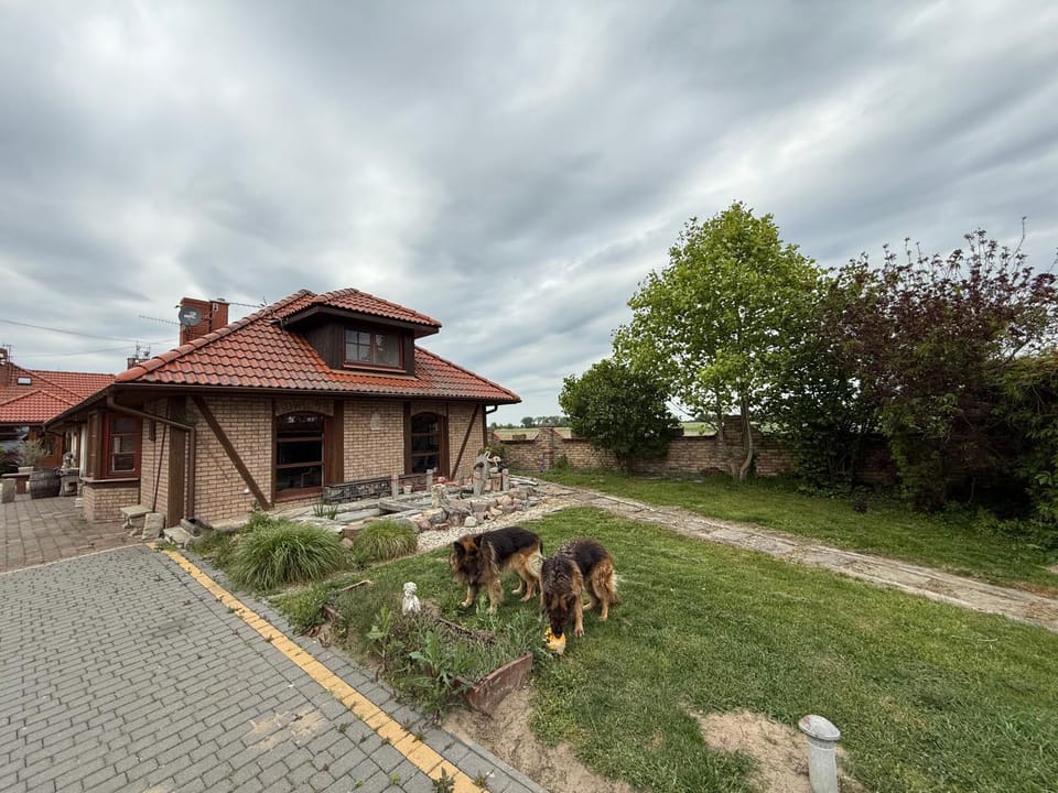 Property building, Day, Garden, Garden