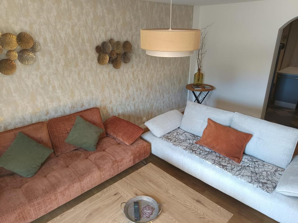 Grand appartement 80 m2 centre ville avec balcon Apartment in Nouvelle-Aquitaine