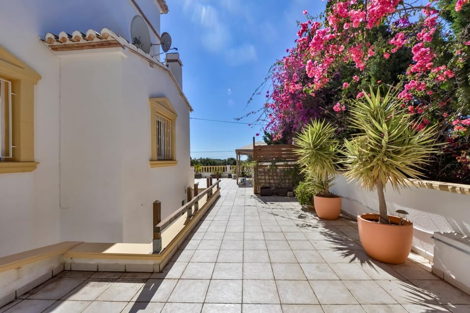 Garden view