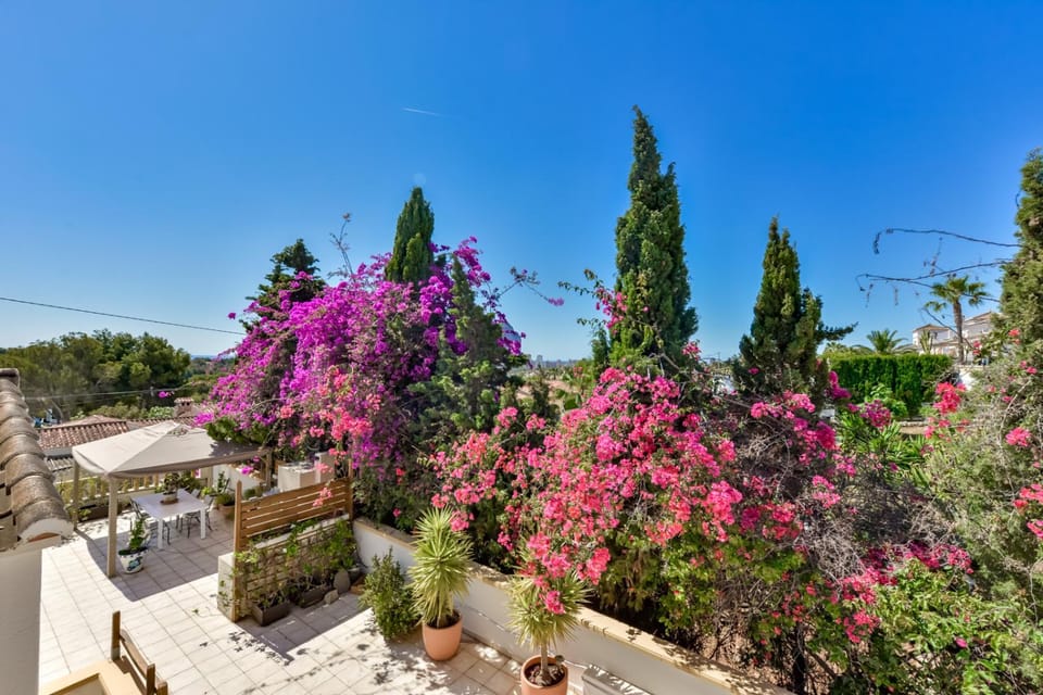 Garden view